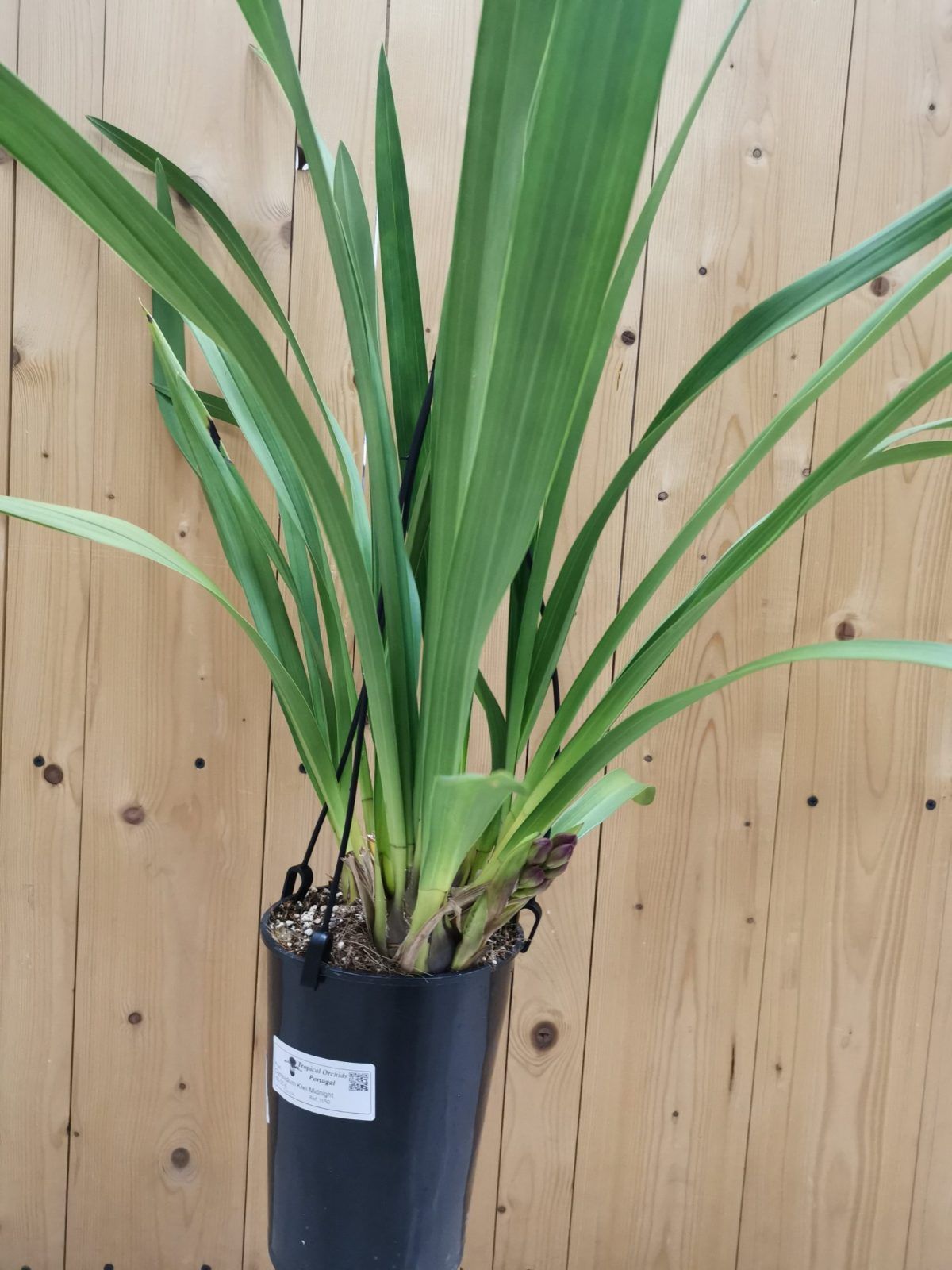 IMG_20211120_174748-scaled-2-1