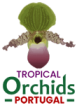 Tropical Orchids Portugal